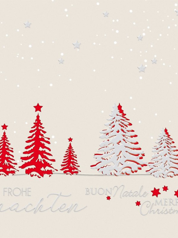 Kartenmotiv aus der Rubrik Weihnachten-Creativ Kl. 17